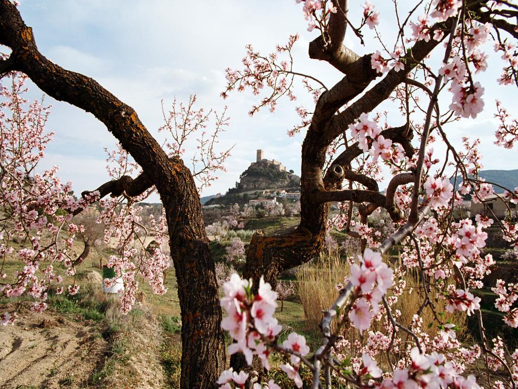 Casa Rural Sant Antoni Biar Buitenkant foto